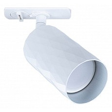 Светильник на штанге arte lamp fang...